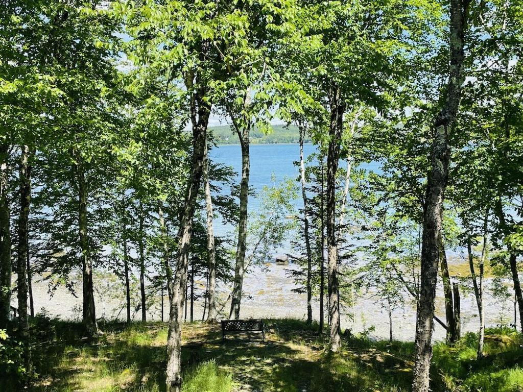 Chalet With A Private Beach In Acadia National Park Bar Harbor Exteriér fotografie